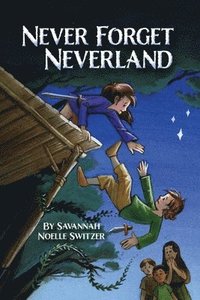 bokomslag Never Forget Neverland