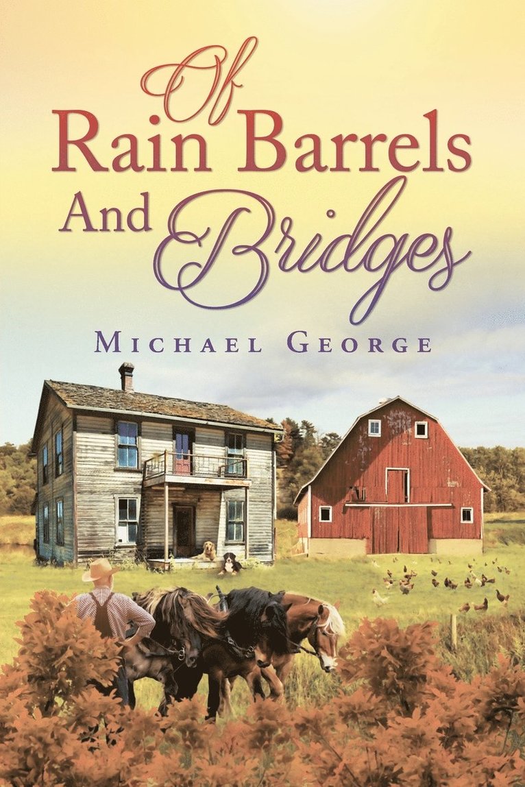 Of Rain Barrels and Bridges 1