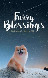 bokomslag Furry Blessings