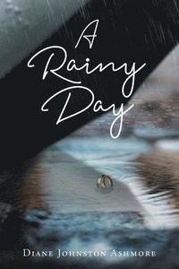 bokomslag A Rainy Day