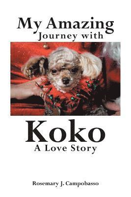 bokomslag My Amazing Journey with Koko A Love Story
