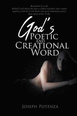 bokomslag God's Poetic and Creational Word