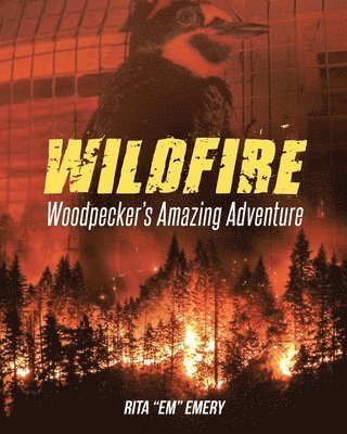 Wildfire Woodpecker's Amazing Adventure 1