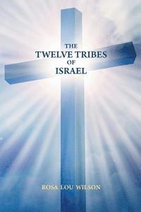 bokomslag The Twelve Tribes of Israel
