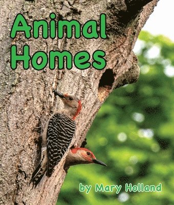 bokomslag Animal Homes