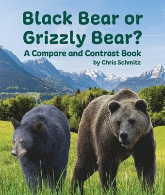 bokomslag Black Bear or Grizzly Bear? a Compare and Contrast Book