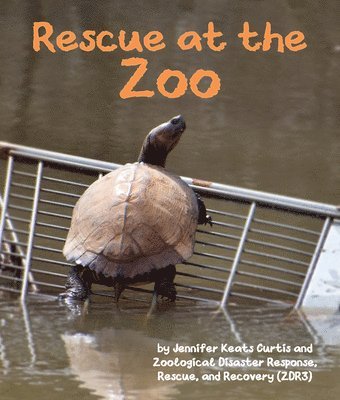 Rescue at the Zoo 1