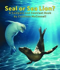 bokomslag Seals or Sea Lions? a Compare and Contrast Book