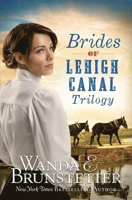 Wanda E. Brunstetter - Brides of Lehigh Canal Trilogy, Häftad