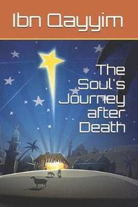 bokomslag The Soul's Journey after Death