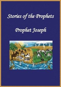 bokomslag Stories of the Prophets