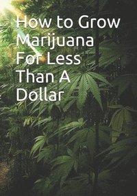 bokomslag How to Grow Marijuana For Less Than A Dollar