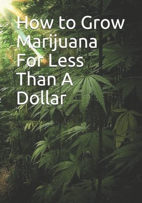 How to Grow Marijuana For Less Than A Dollar 1