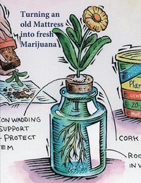 bokomslag Turning an old Mattress into fresh Marijuana