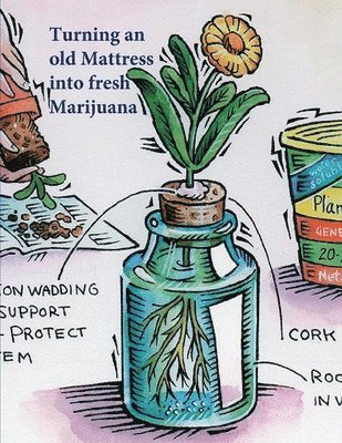 bokomslag Turning an old Mattress into fresh Marijuana