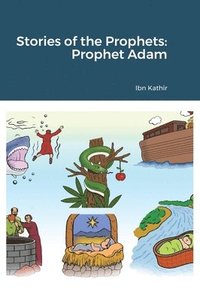 bokomslag Stories of the Prophets