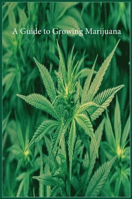 A Guide to Growing Marijuana 1