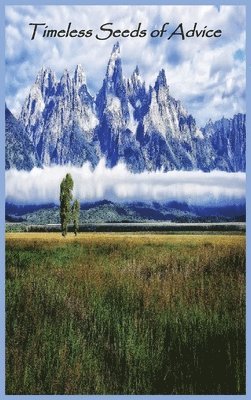 Dr Al-Imam Al-Qarni - Timeless Seeds of Wisdom and Advice, Inbunden