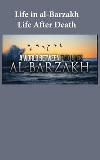 bokomslag Life in al-Barzakh