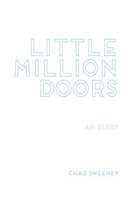bokomslag Little Million Doors