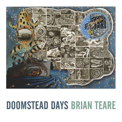 Brian Teare - Doomstead Days, Häftad