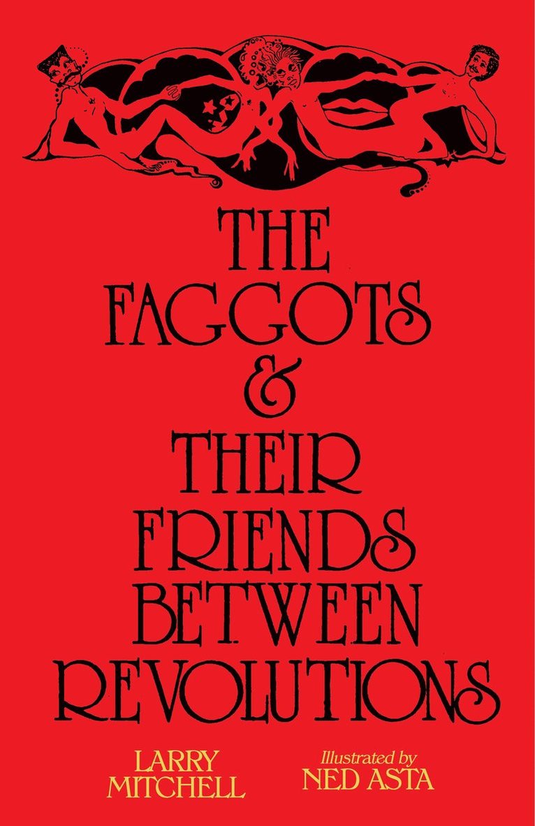 Larry Mitchell - Faggots and Their Friends Between Revolutions, Häftad