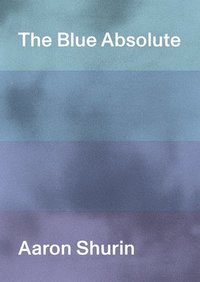 bokomslag The Blue Absolute