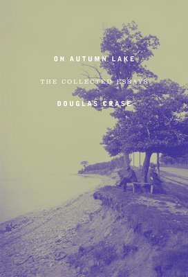 On Autumn Lake 1