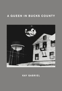 bokomslag A Queen in Bucks County
