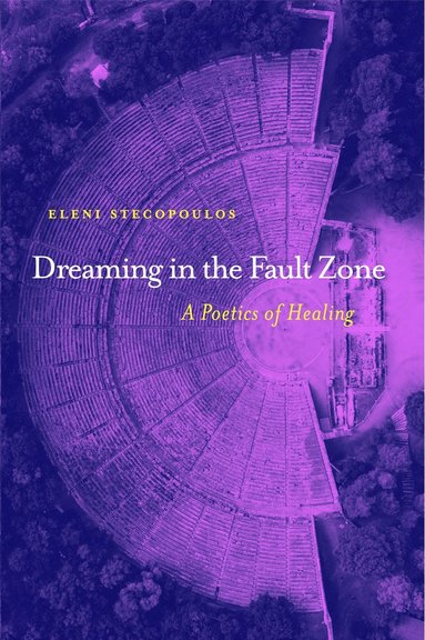 bokomslag Dreaming in the Fault Zone: A Poetics of Healing