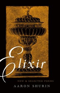 bokomslag Elixir