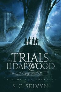 bokomslag Trials of Ildarwood