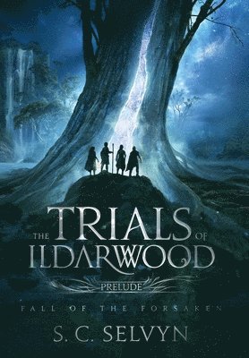 bokomslag The Trials of Ildarwood