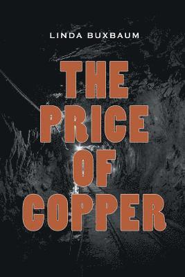 bokomslag Price of Copper