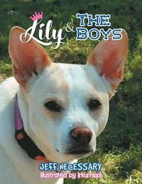 bokomslag Lily and The Boys