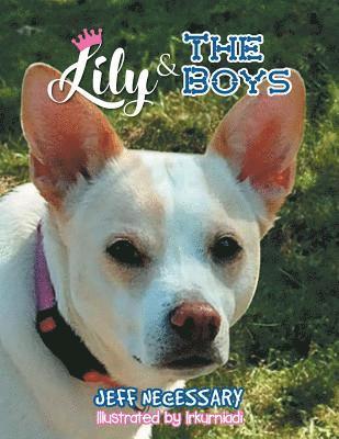bokomslag Lily and The Boys