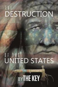 bokomslag Destruction of the United States