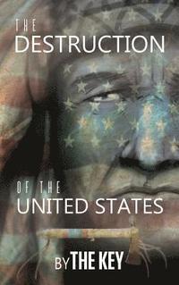 bokomslag Destruction of the United States