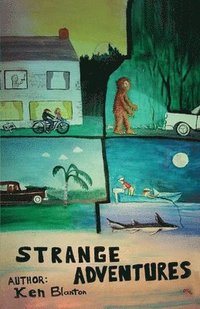 bokomslag Strange Adventures