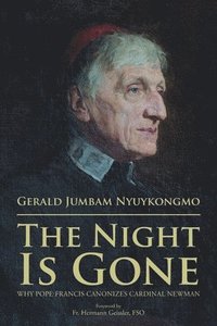bokomslag Night Is Gone