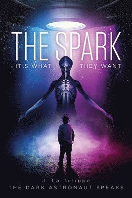 bokomslag Spark
