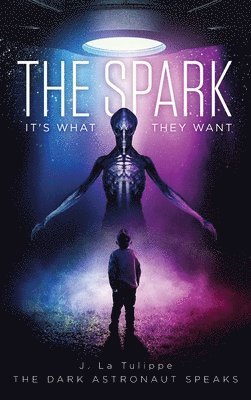 bokomslag Spark