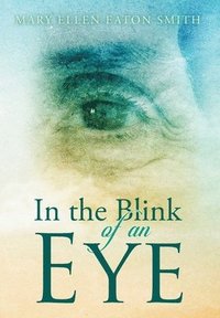 bokomslag In the Blink of an Eye