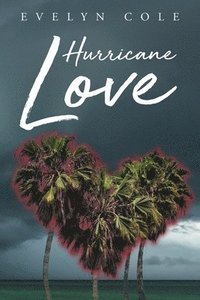 bokomslag Hurricane Love