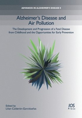 bokomslag Alzheimer's Disease and Air Pollution