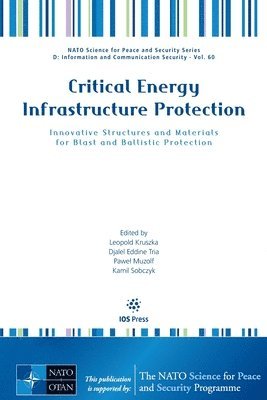 Critical Energy Infrastructure Protection 1