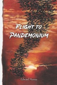 bokomslag Flight To Pandemonium