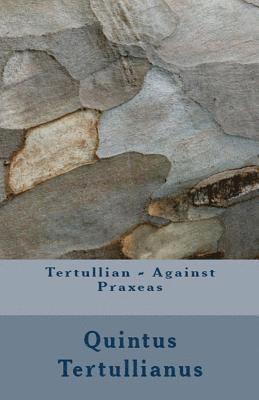 Tertullian, A M Overett - Against Praxeas, Häftad