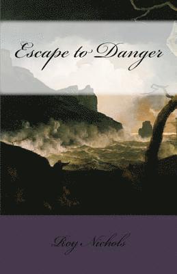 bokomslag Escape to Danger