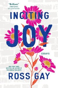 bokomslag Inciting Joy: Essays
